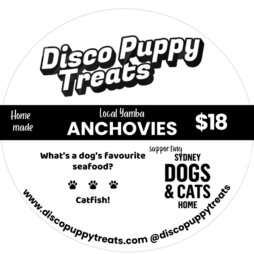 Close-up photo of natural dehydrated anchovy dog treats by Disco Puppy Treats