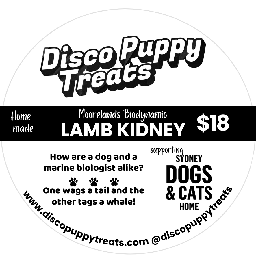 Front packaging pouch of Disco Puppy Treats natural dehydrated lamb kidneys dog treats