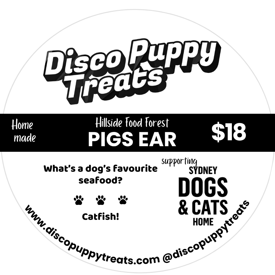 Pigs Ear Strips