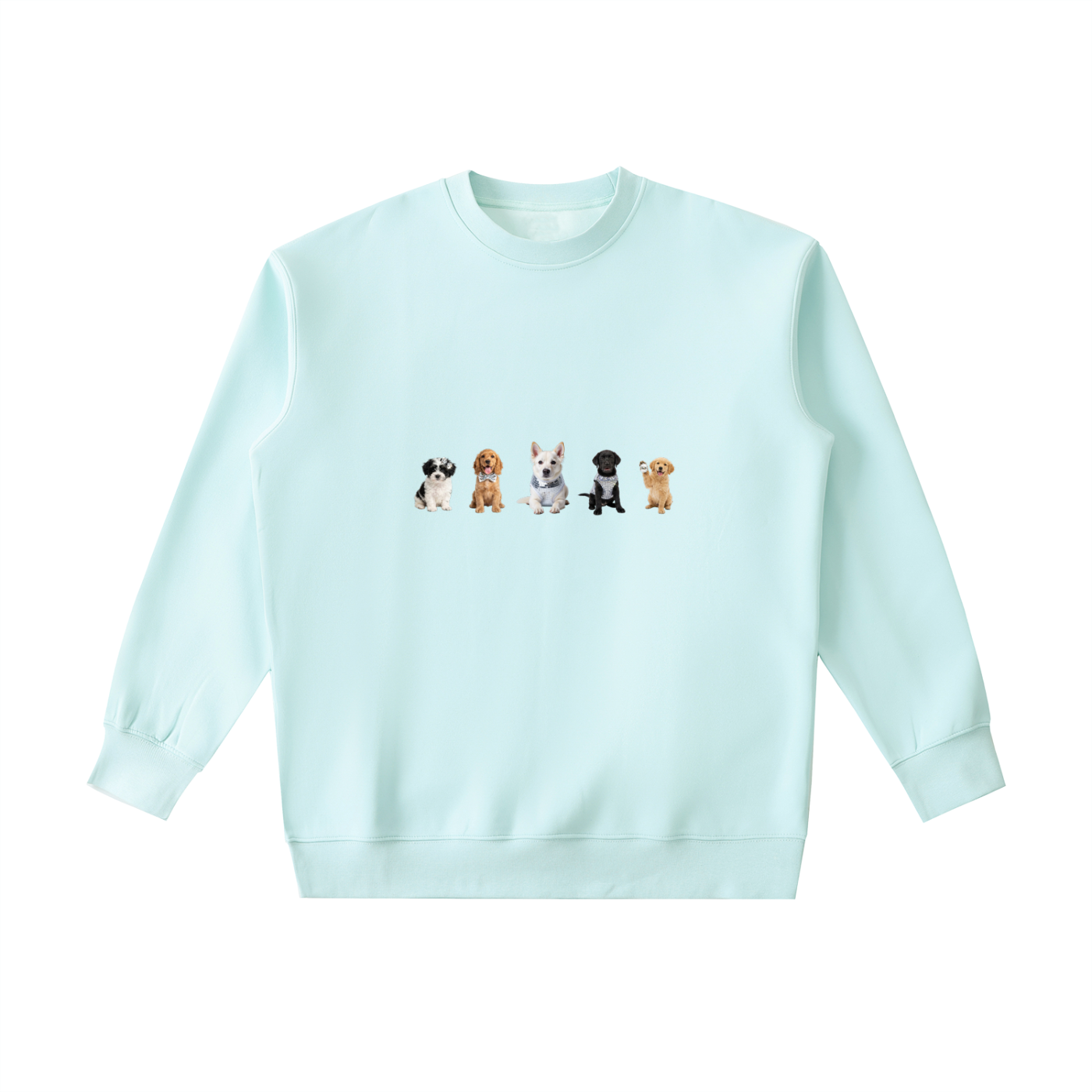 Disco Puppy Line-Up Heavyweight Crewneck Sweatshirt